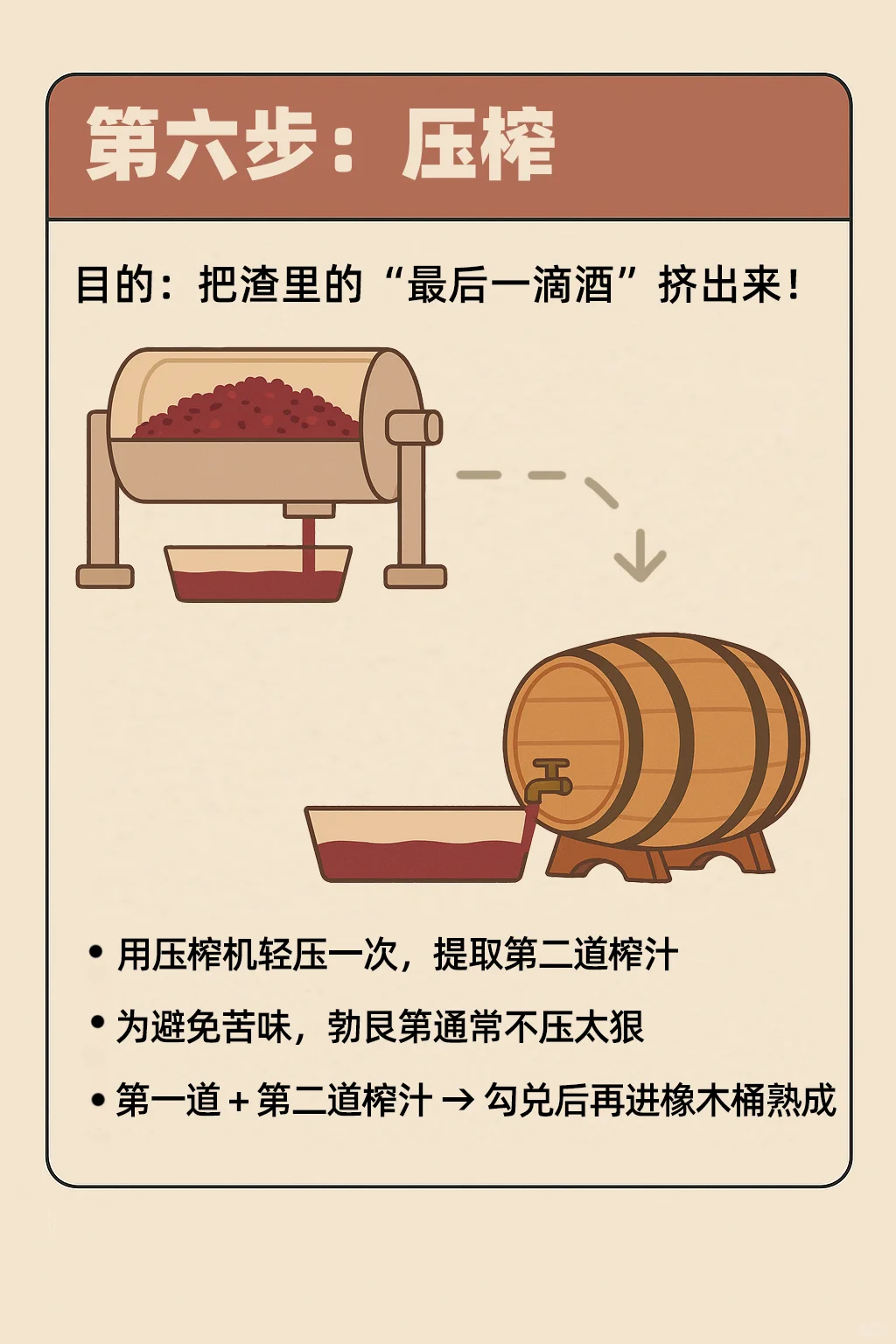 一瓶红酒是怎么酿出来的？看完你就知道了