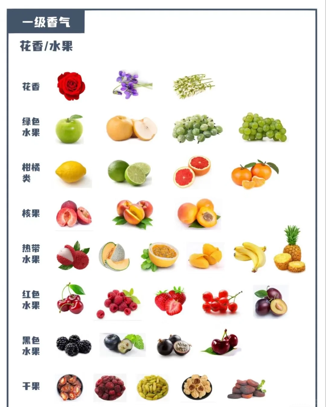 闻香识酒—葡萄酒香气指南