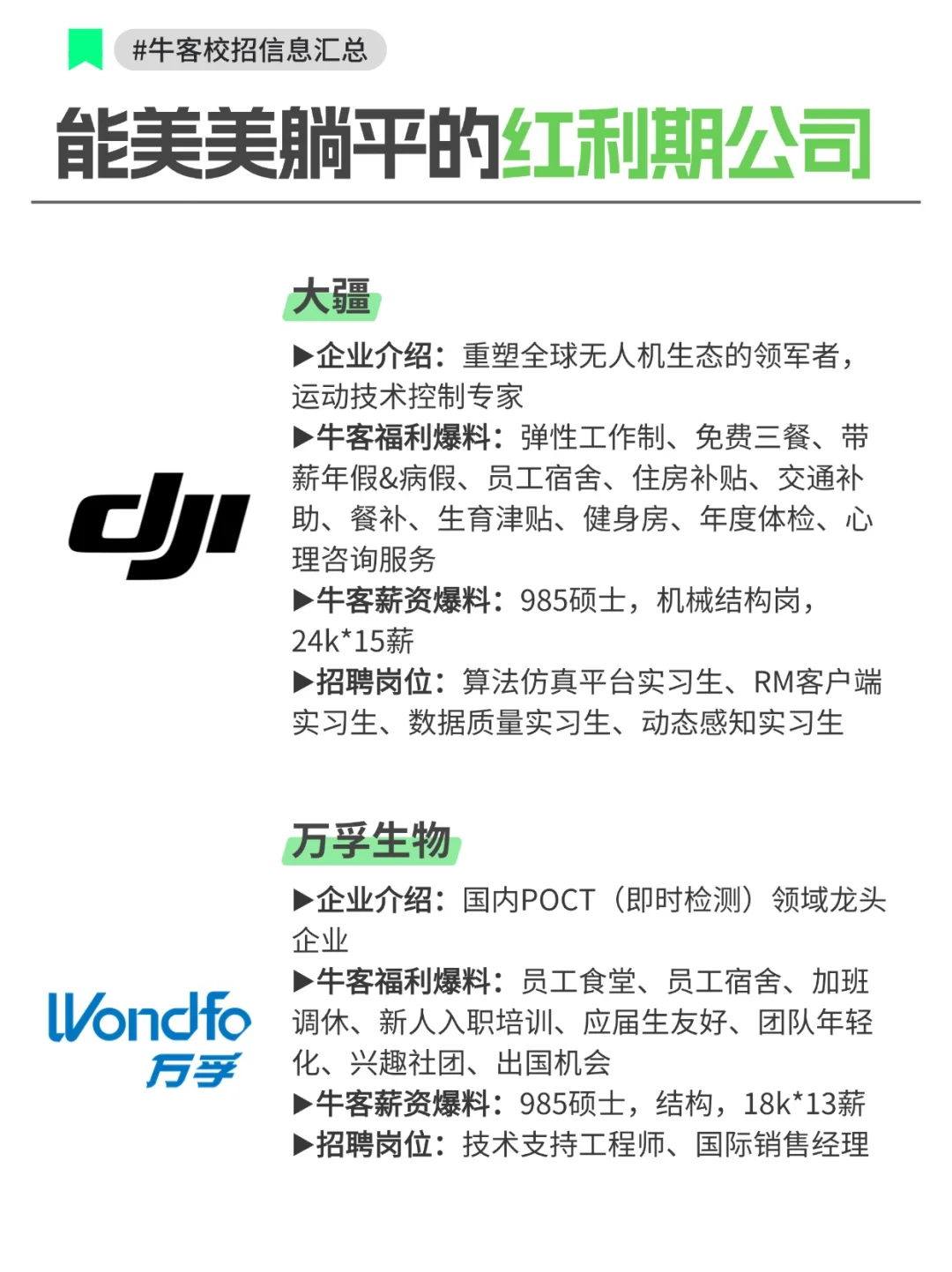 能让员工美美躺平的红利期公司