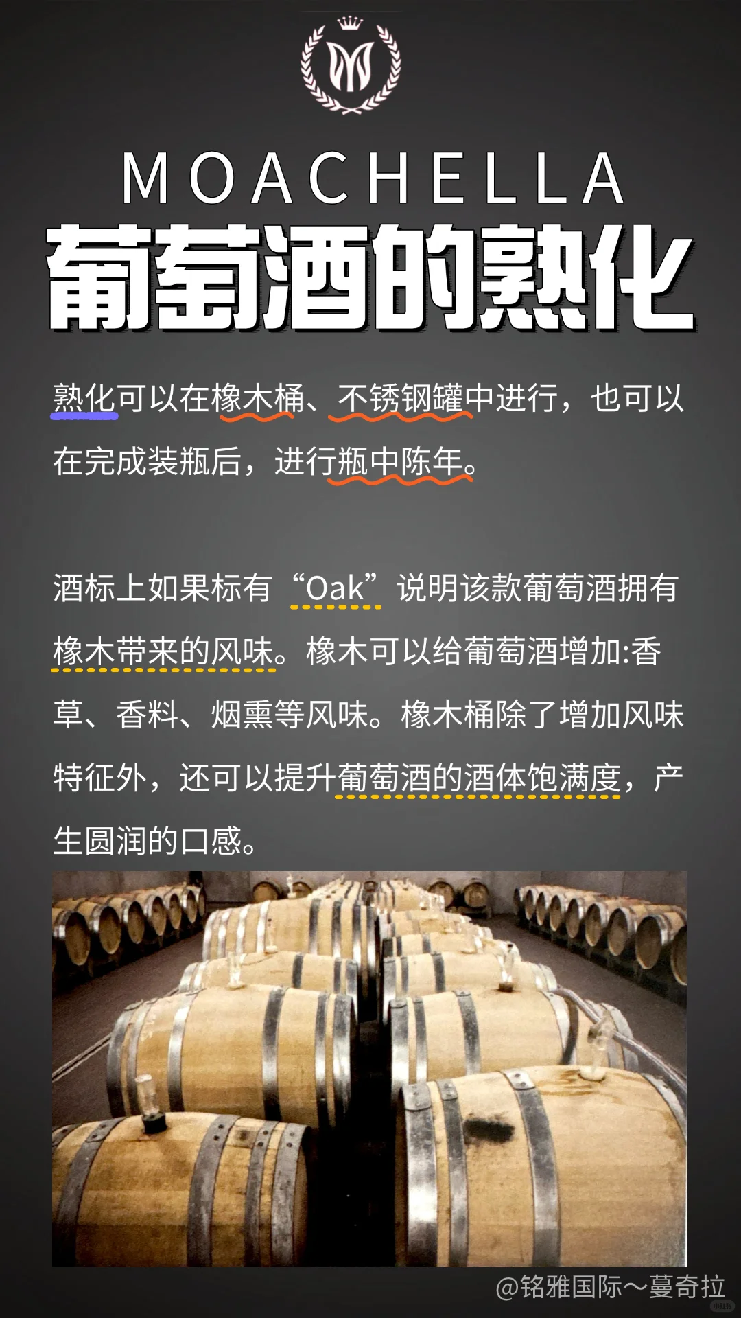 第14期：葡萄酒的熟化