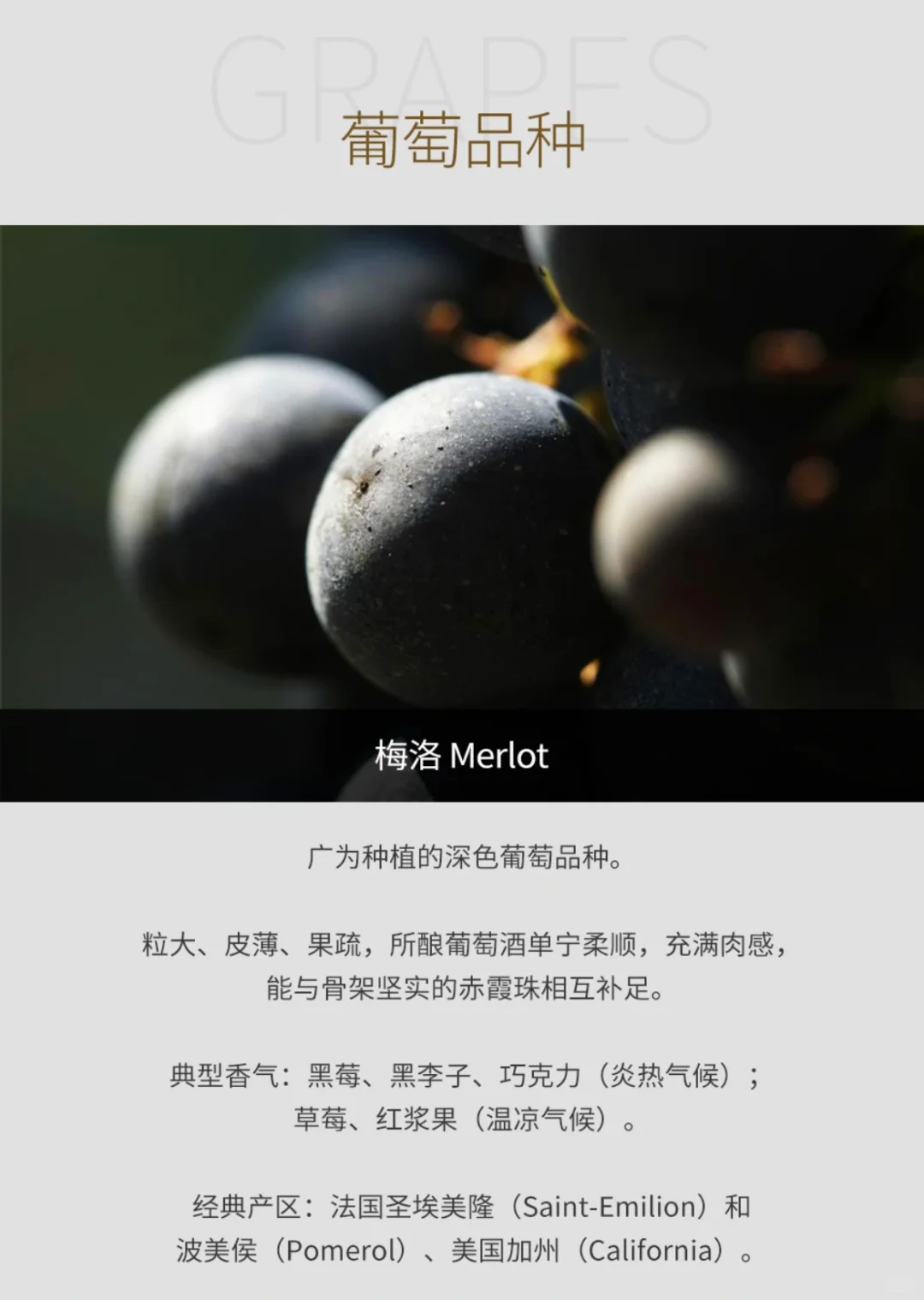 2011年拉菲古堡红葡萄酒(法国1855一级庄)