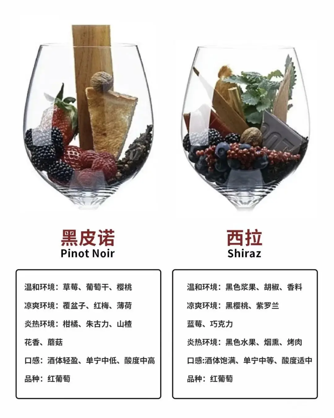 葡萄酒风味如何看懂？3分钟看懂葡萄酒风味