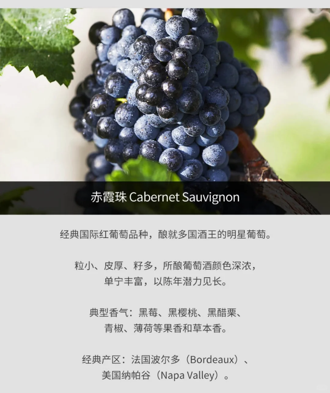 2011年拉菲古堡红葡萄酒(法国1855一级庄)