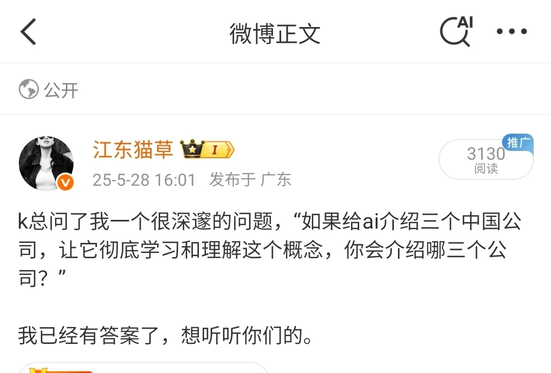 选三个公司代表，教ai理解“中国公司”
