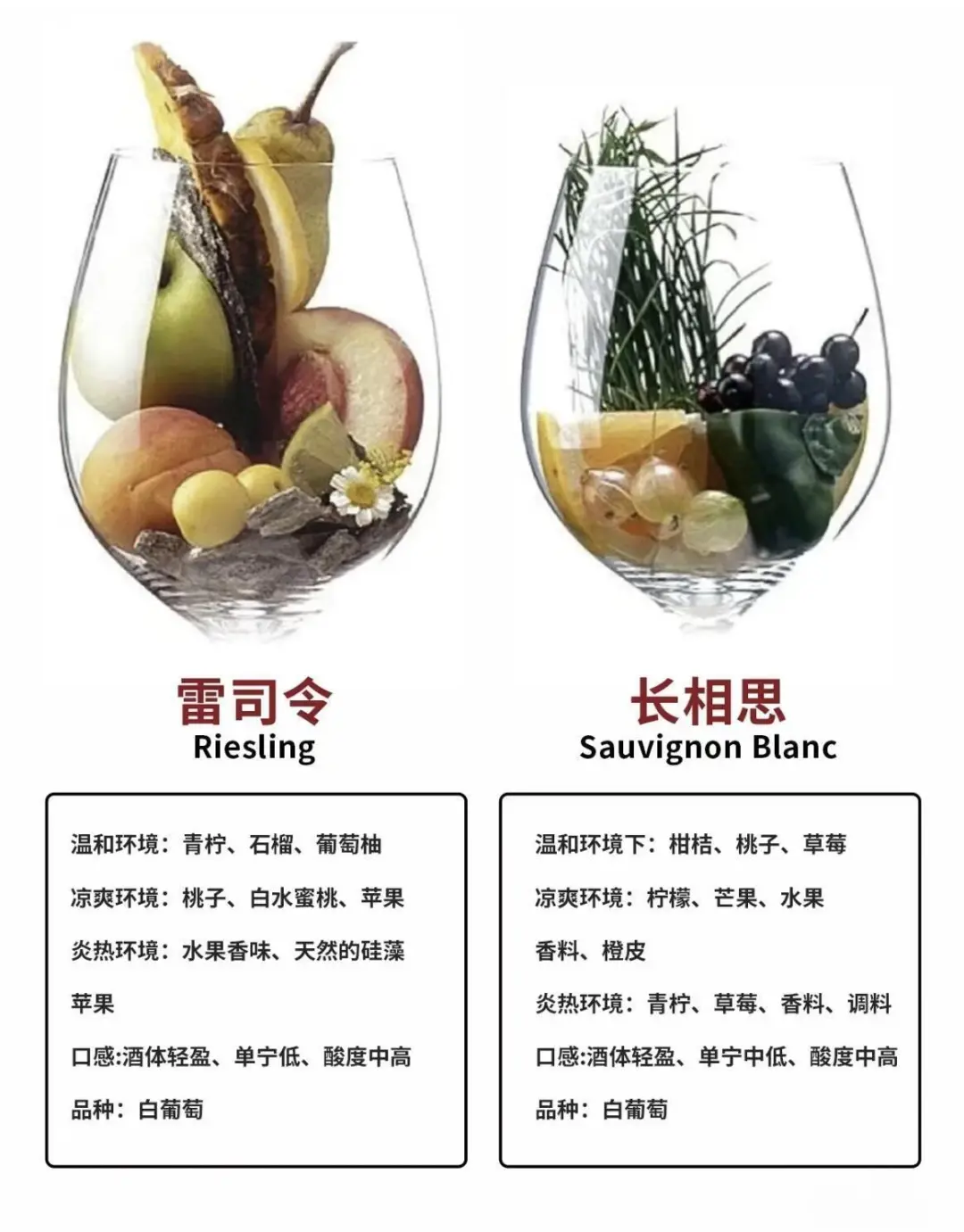 葡萄酒风味如何看懂？3分钟看懂葡萄酒风味