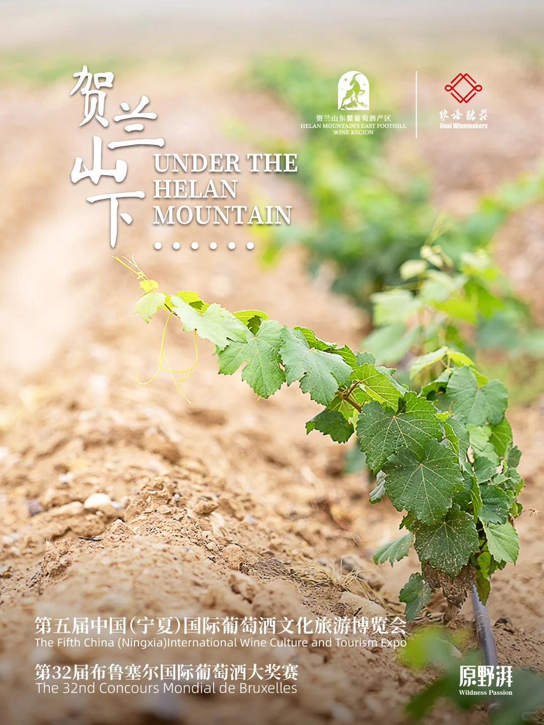 定了！国家级别葡萄酒文化旅游博览会