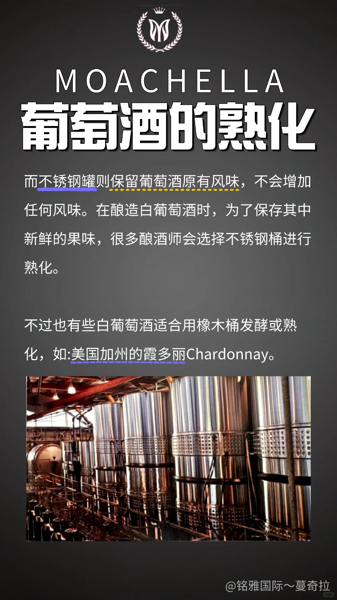 第14期：葡萄酒的熟化
