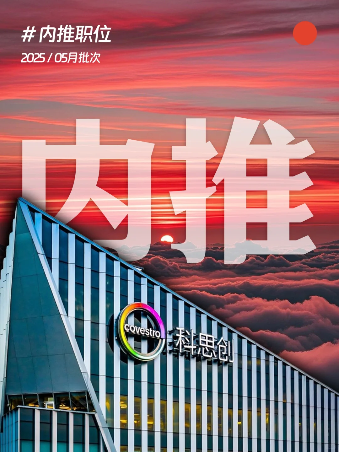 ?上海！5月内推岗位，科思创收简历呐