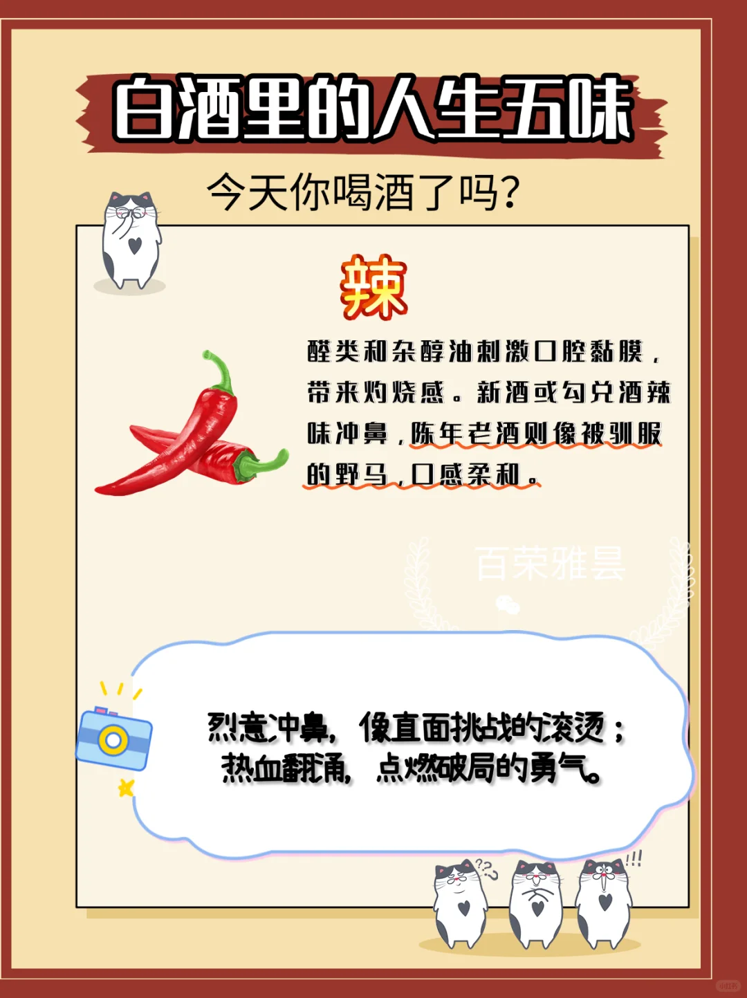 白酒的滋味，就像人生的缩影，五味杂陈