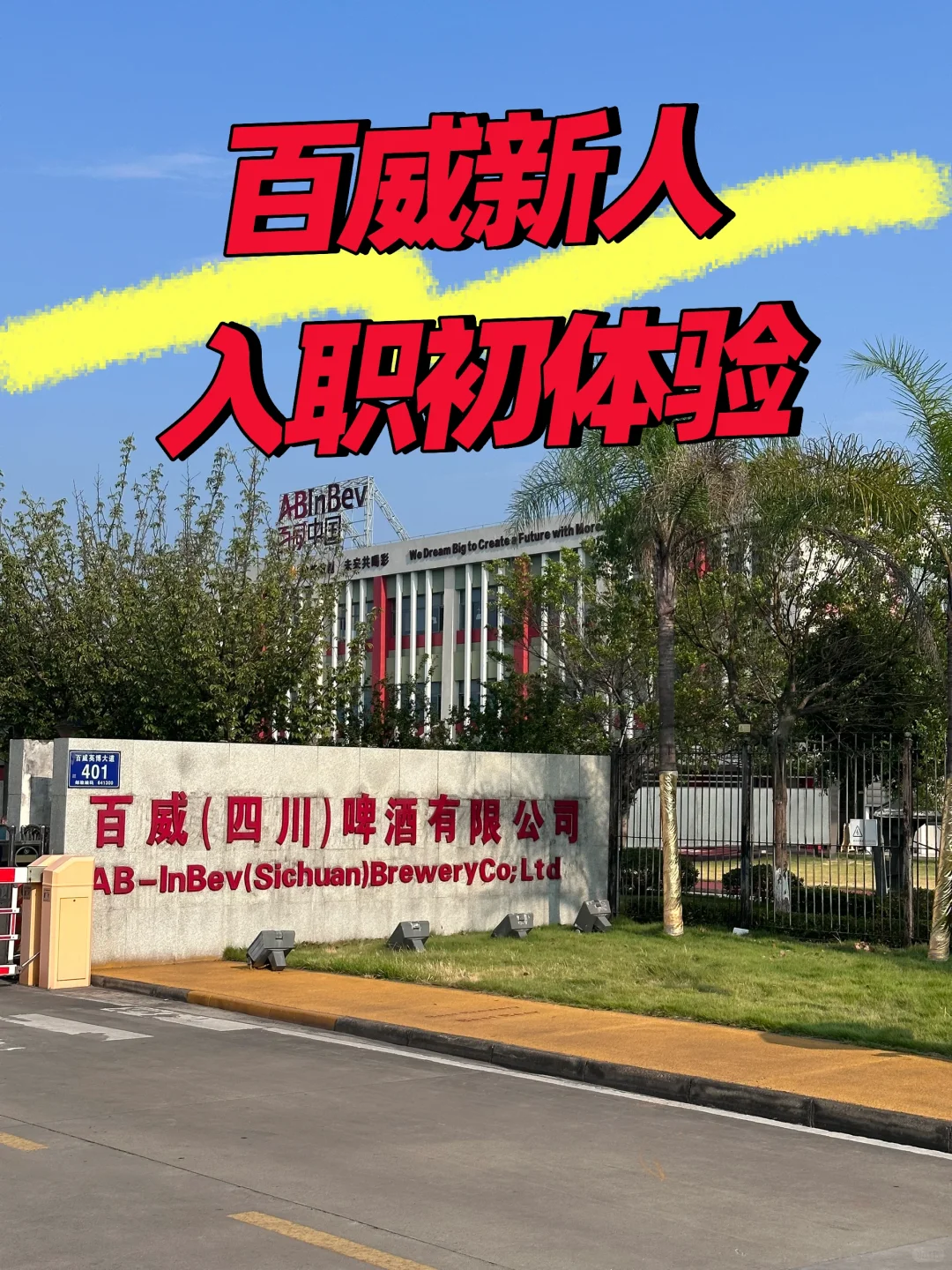 百威入职初体验！百威人的真实感受（可内推）