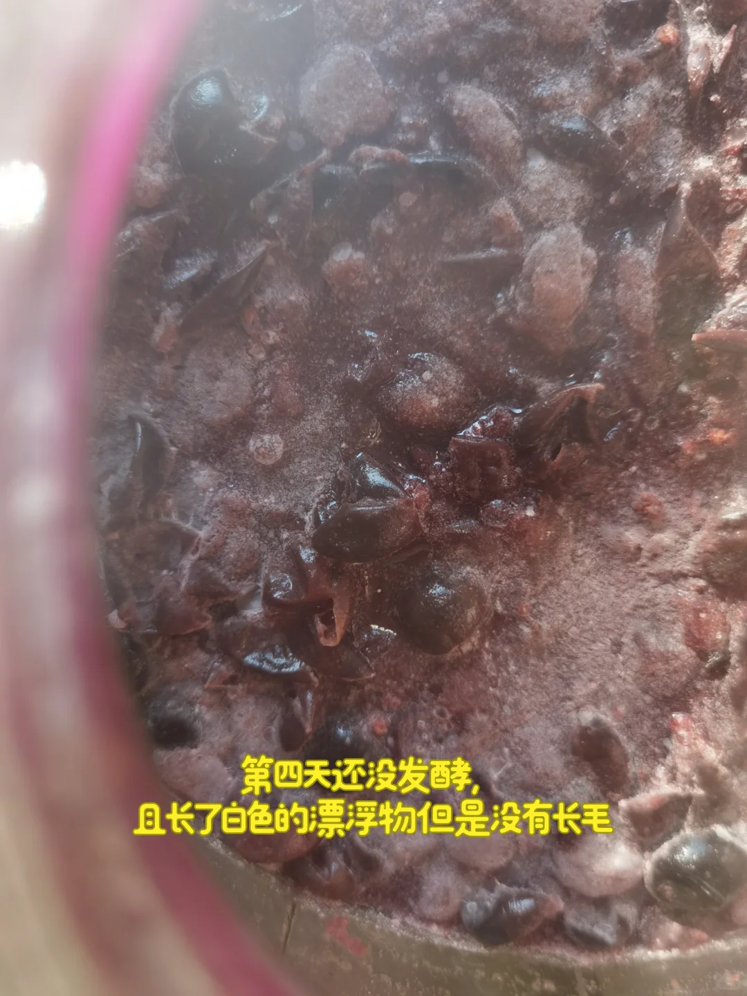 关于我自制葡萄酒,长白色漂浮物后的抢救