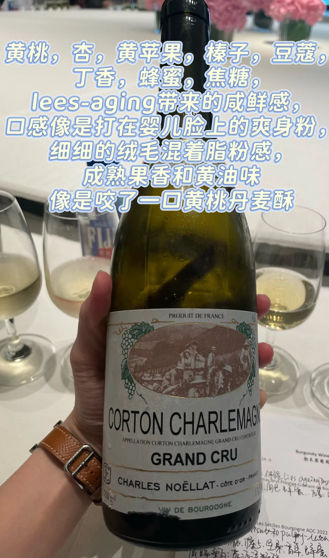 Wine Sharing｜最近被惊艳到的六支葡萄酒