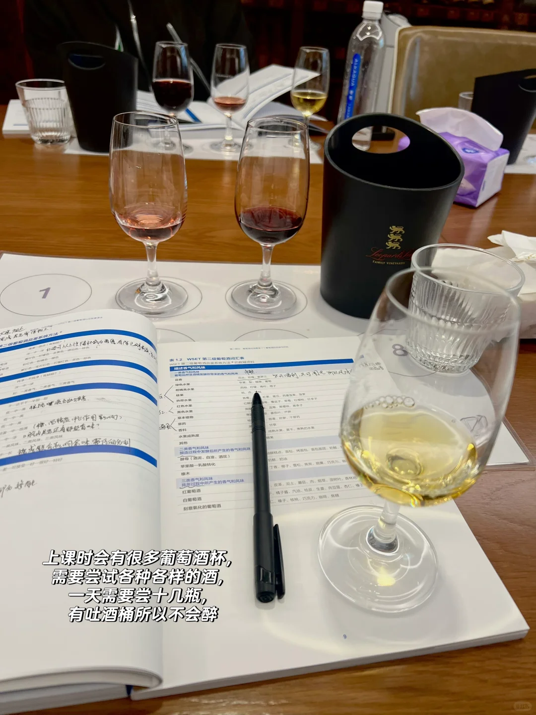 为什么我建议女生考一张葡萄酒证书