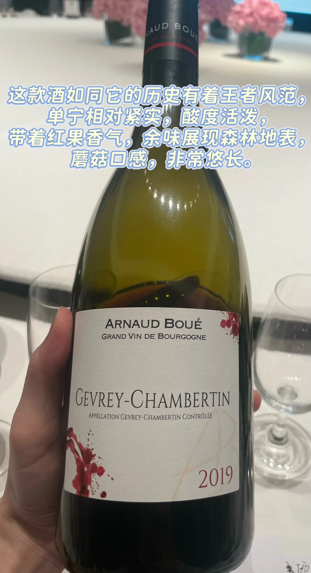 Wine Sharing｜最近被惊艳到的六支葡萄酒