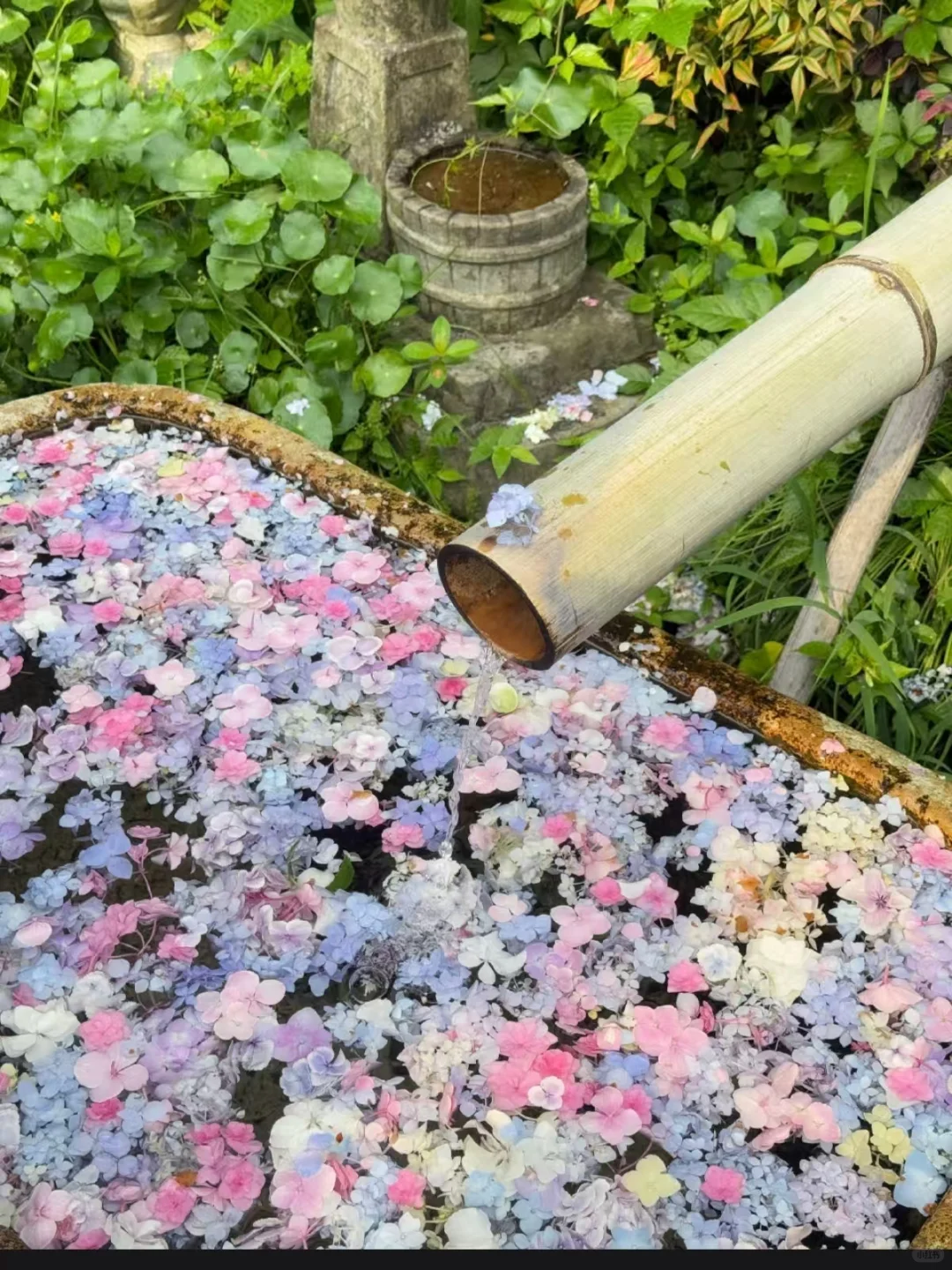不懂就问,这瓶葡萄酒真的没人知道吗?