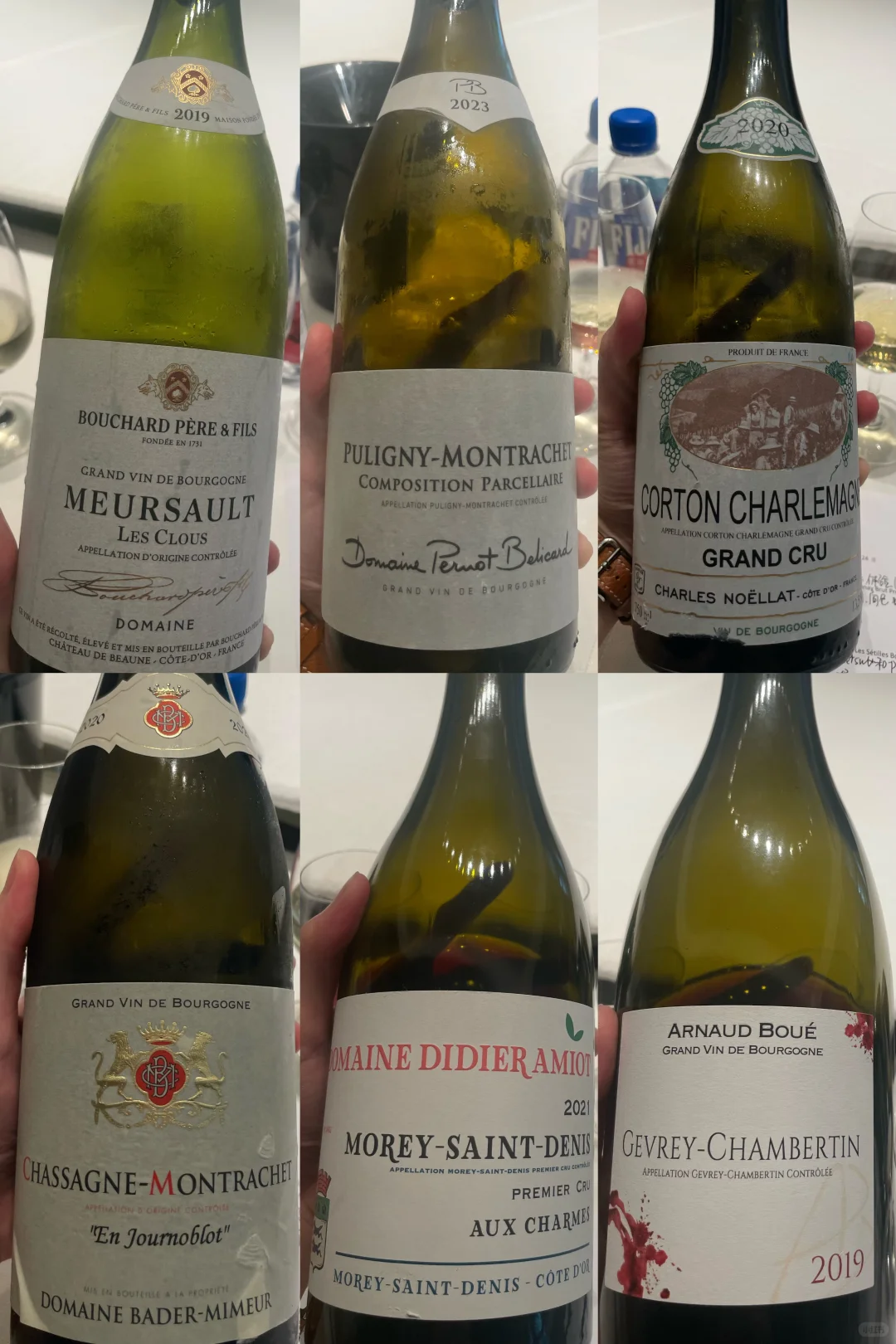 Wine Sharing｜最近被惊艳到的六支葡萄酒