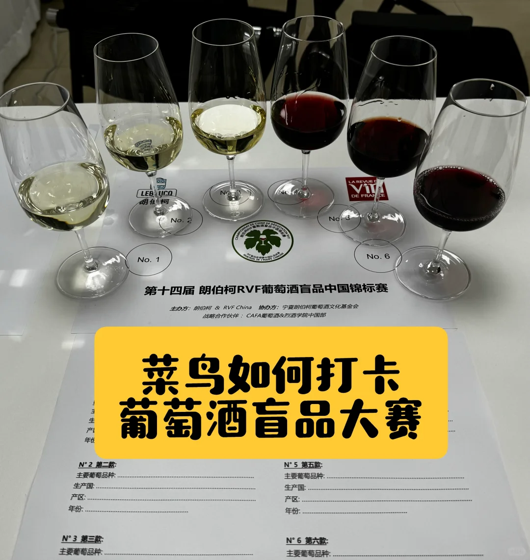 拿第一？葡萄酒小白也可以参加的盲品比赛