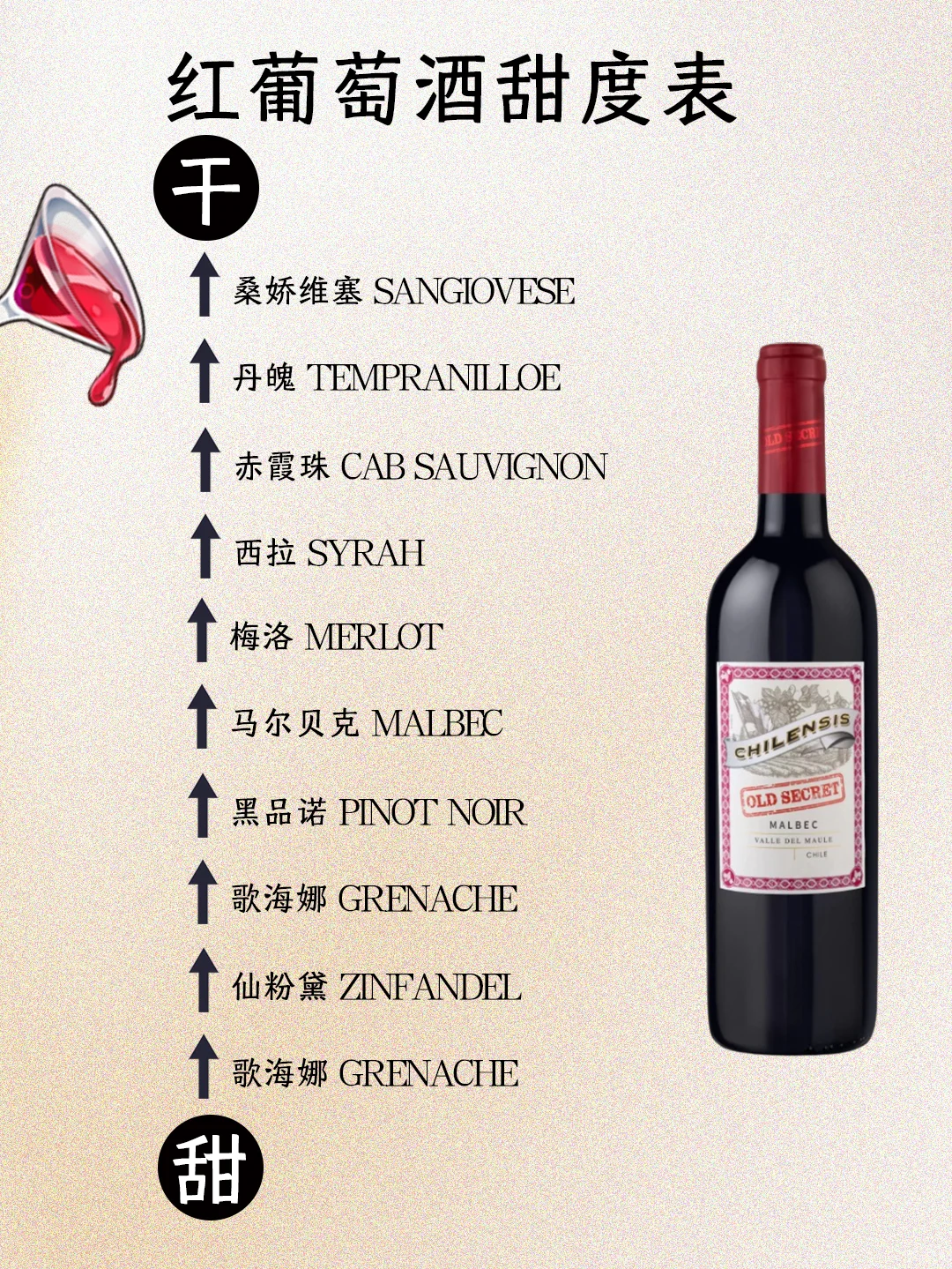 葡萄酒全干货‼️小白入门指南✅