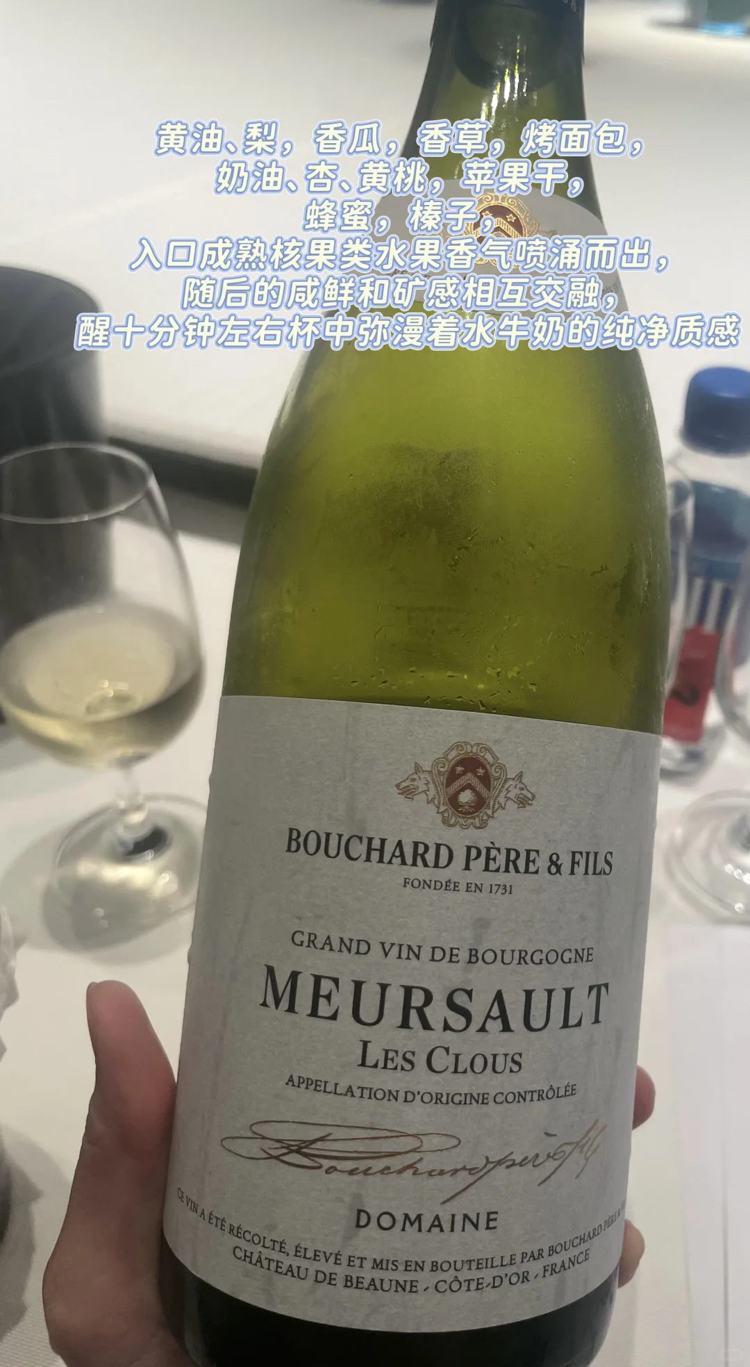 Wine Sharing｜最近被惊艳到的六支葡萄酒