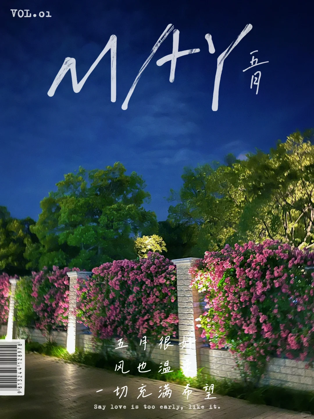不一样的520