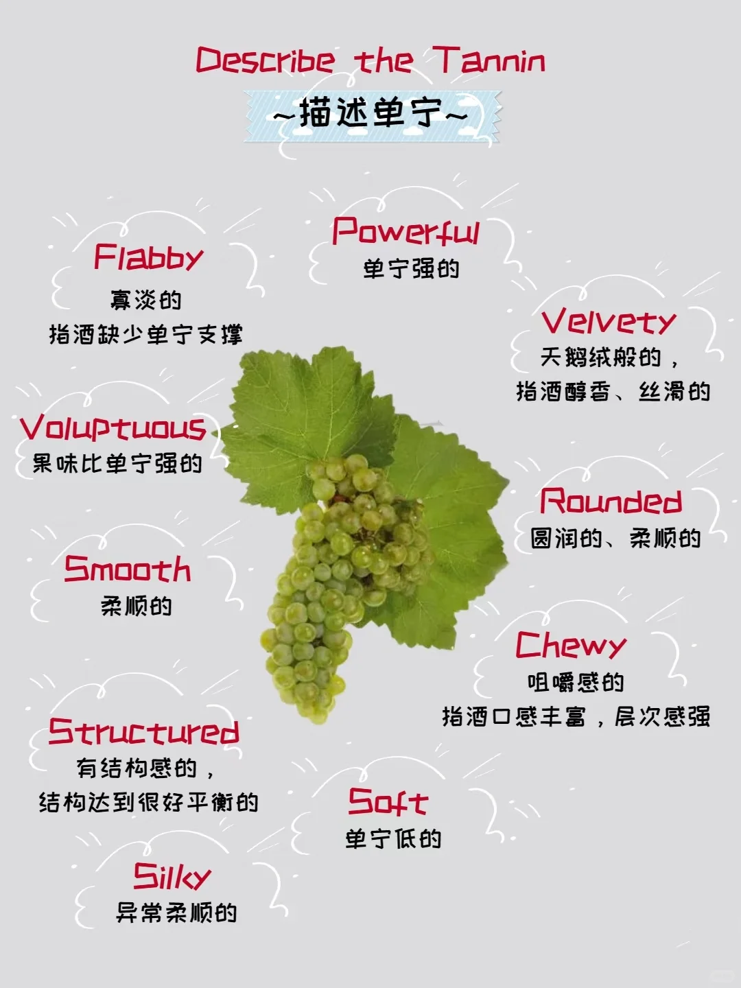 葡萄酒品鉴 | 葡萄酒品酒笔记怎么写？