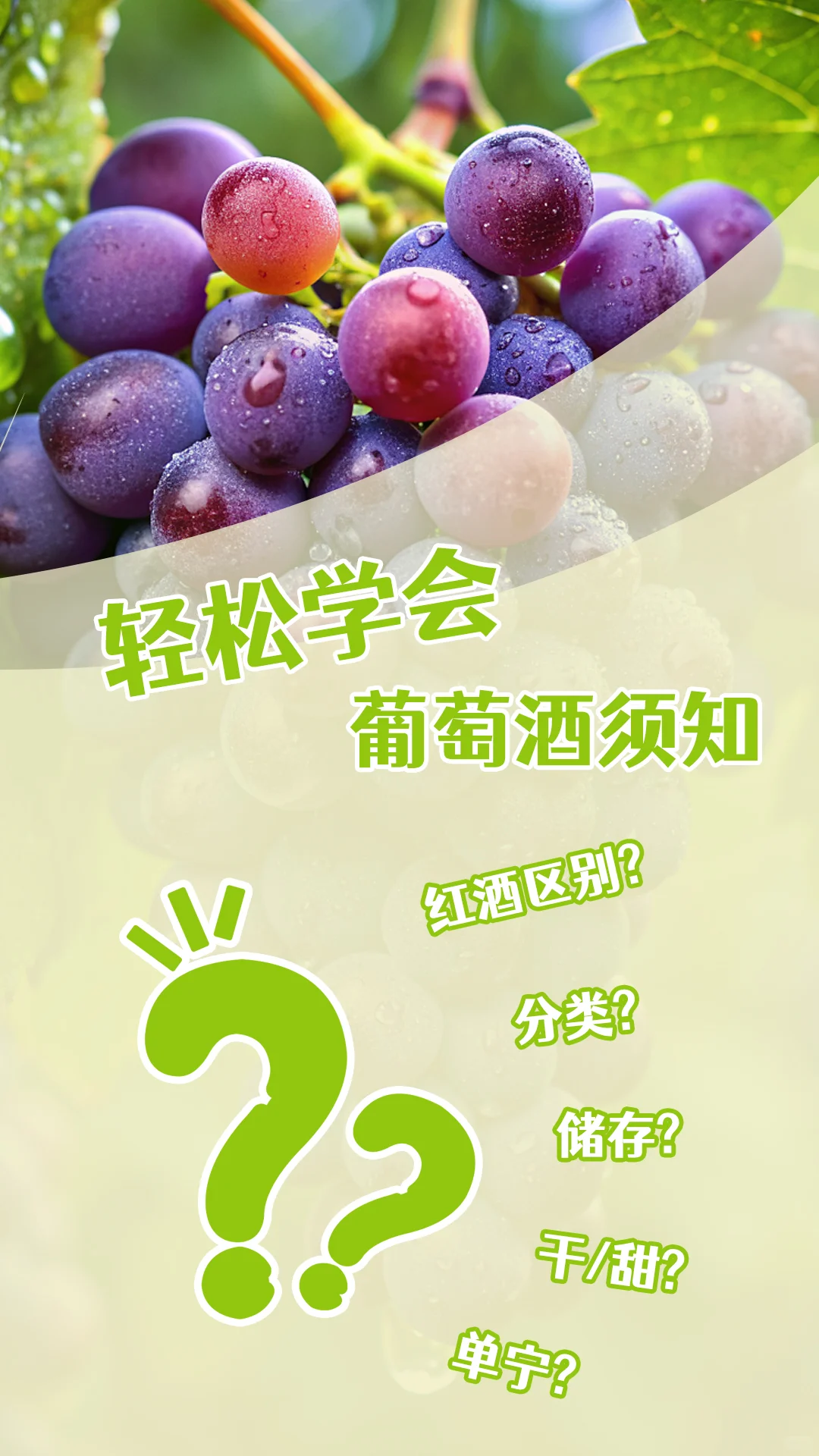 简单易懂的葡萄酒知识！