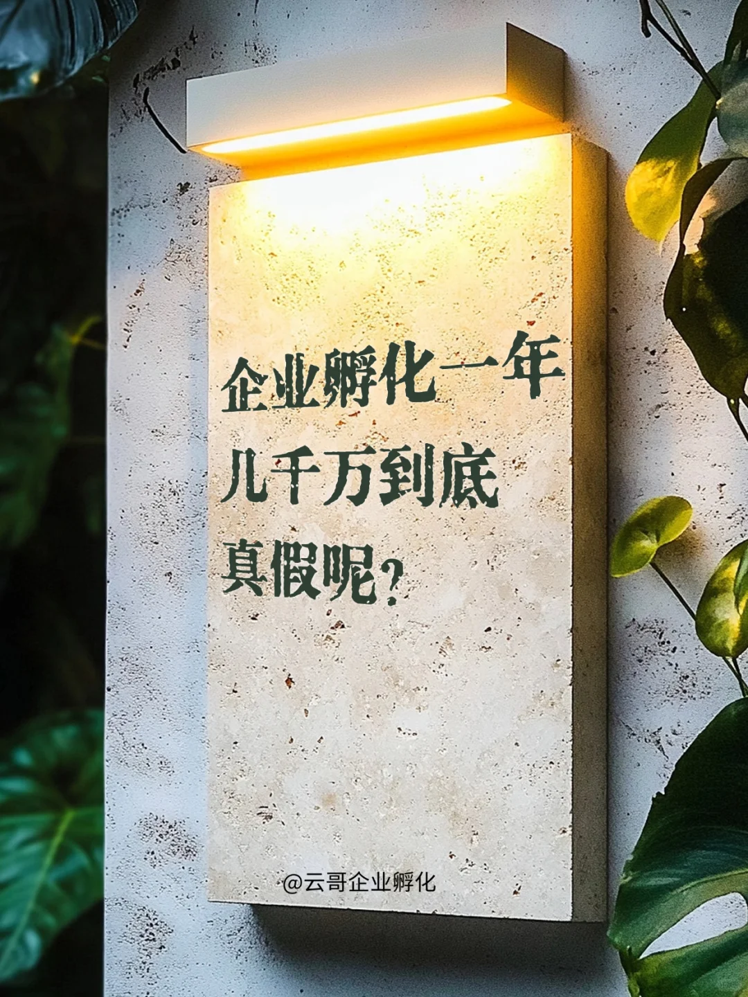 企业孵化一年几千万到底真假呢？