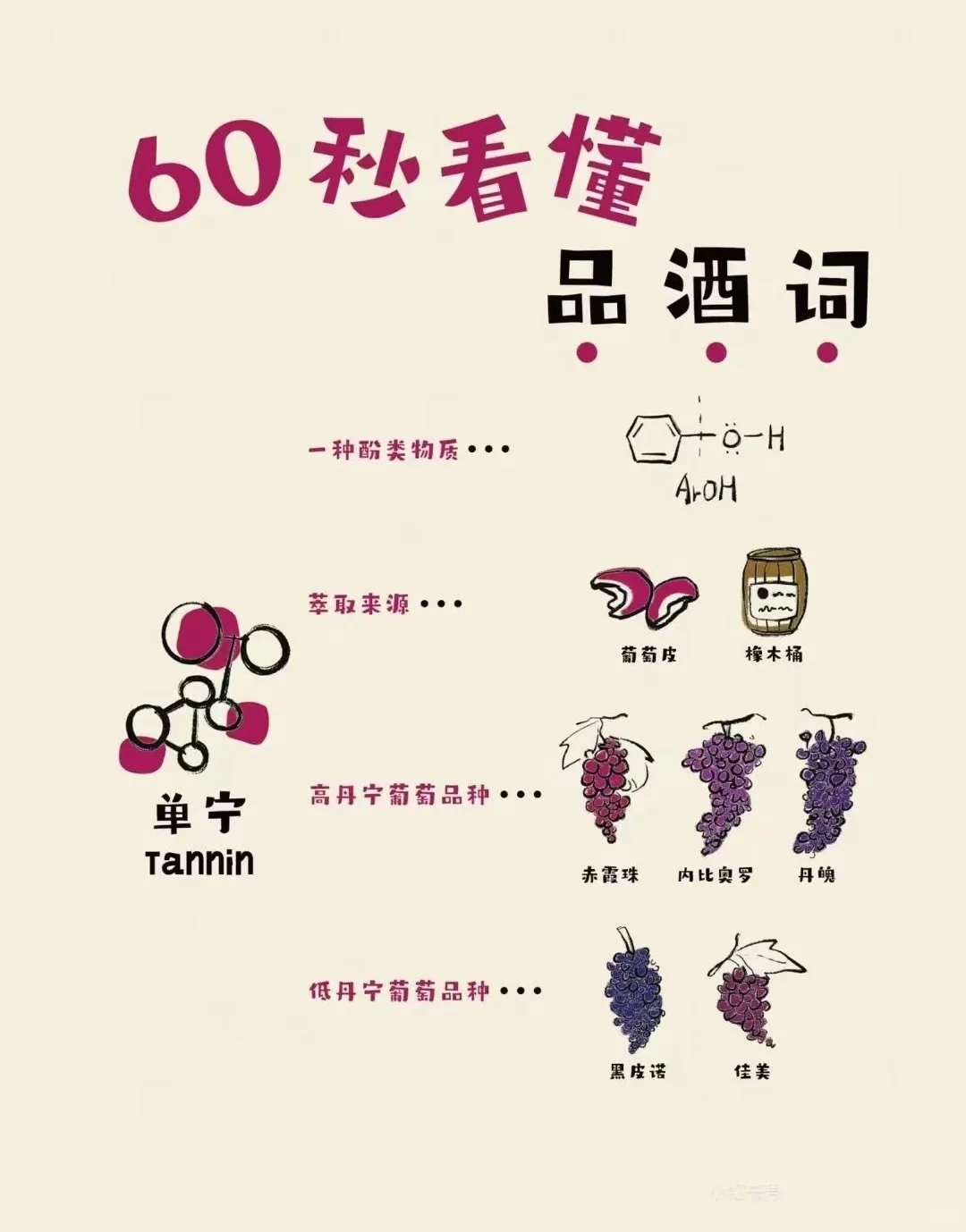 60秒速懂葡萄酒知识