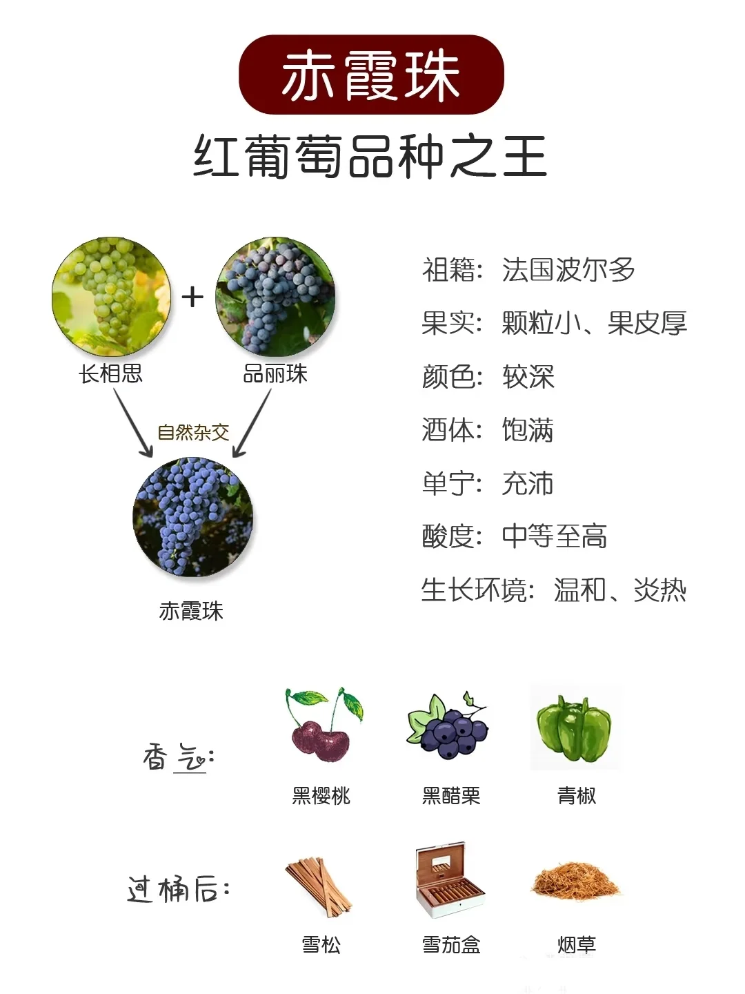 收藏⭐一文速通六大葡萄酒品种图鉴?