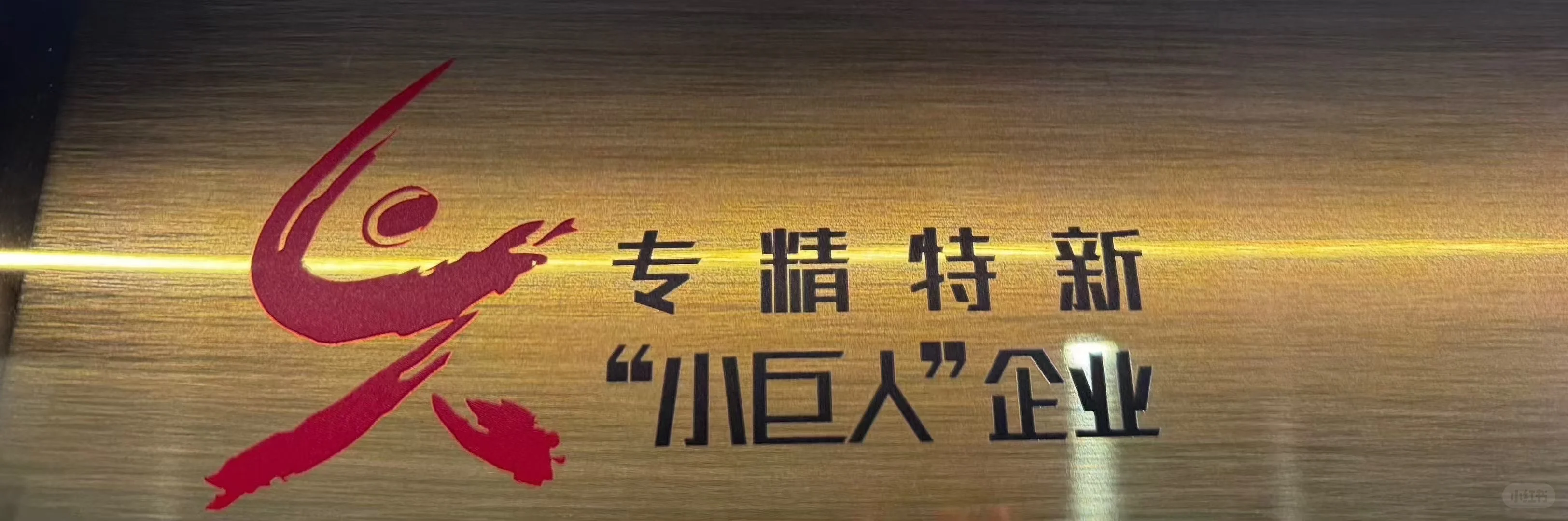 当你还不知道小巨人是个企业标签的时候