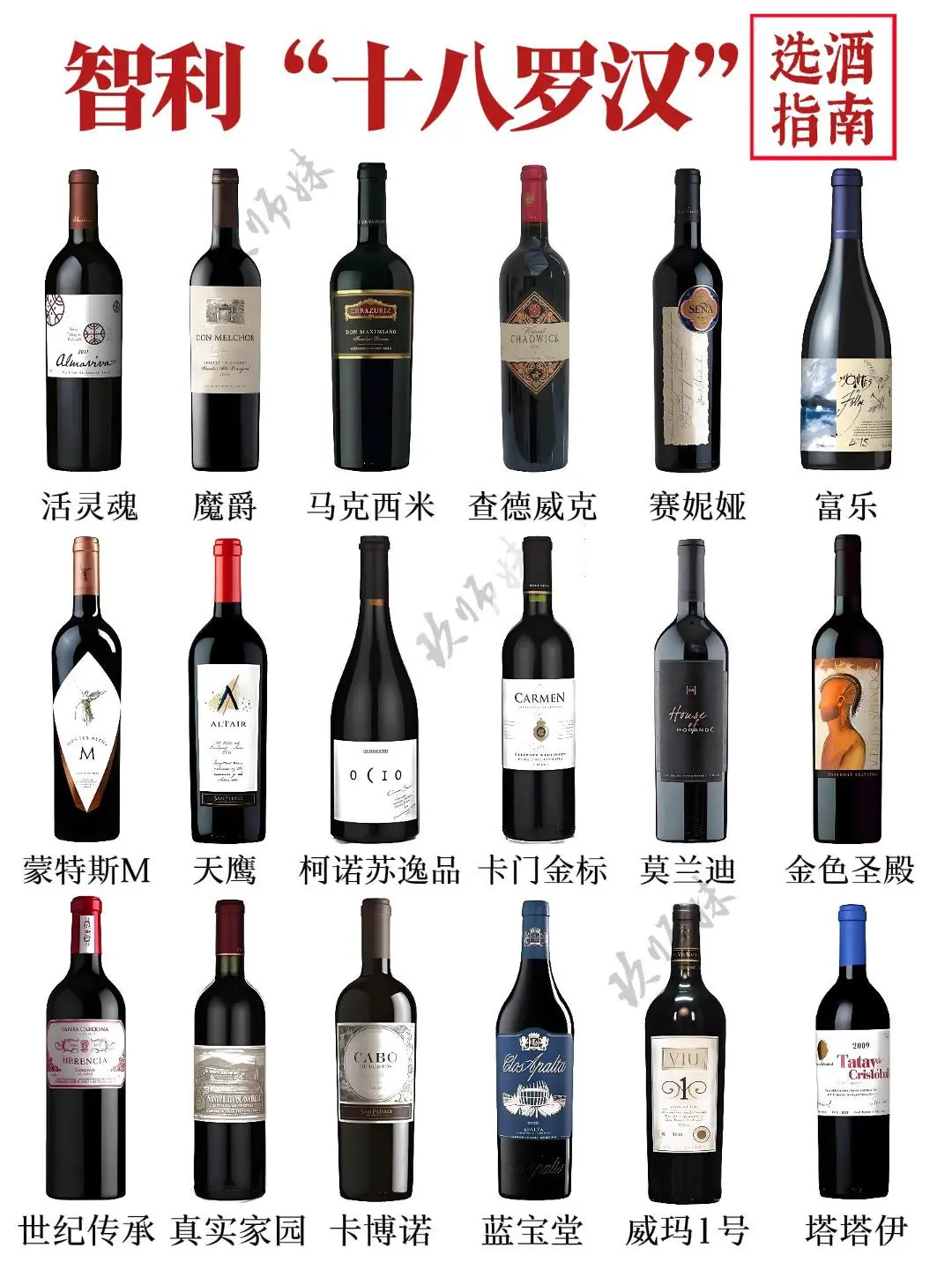 盘点智利“十八罗汉”，你都认识哪几个？