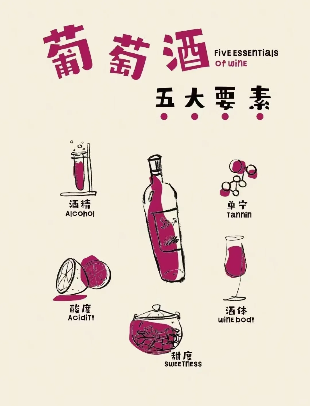 60秒速懂葡萄酒知识