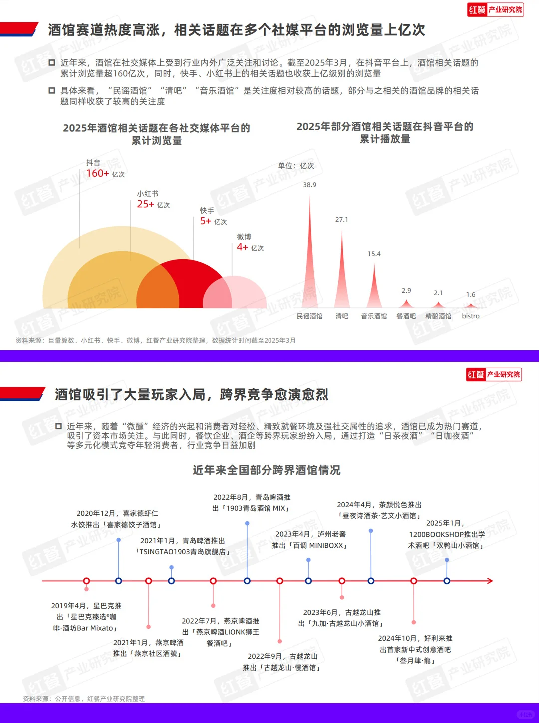 33页报告|2025酒馆发展：千亿微醺经济