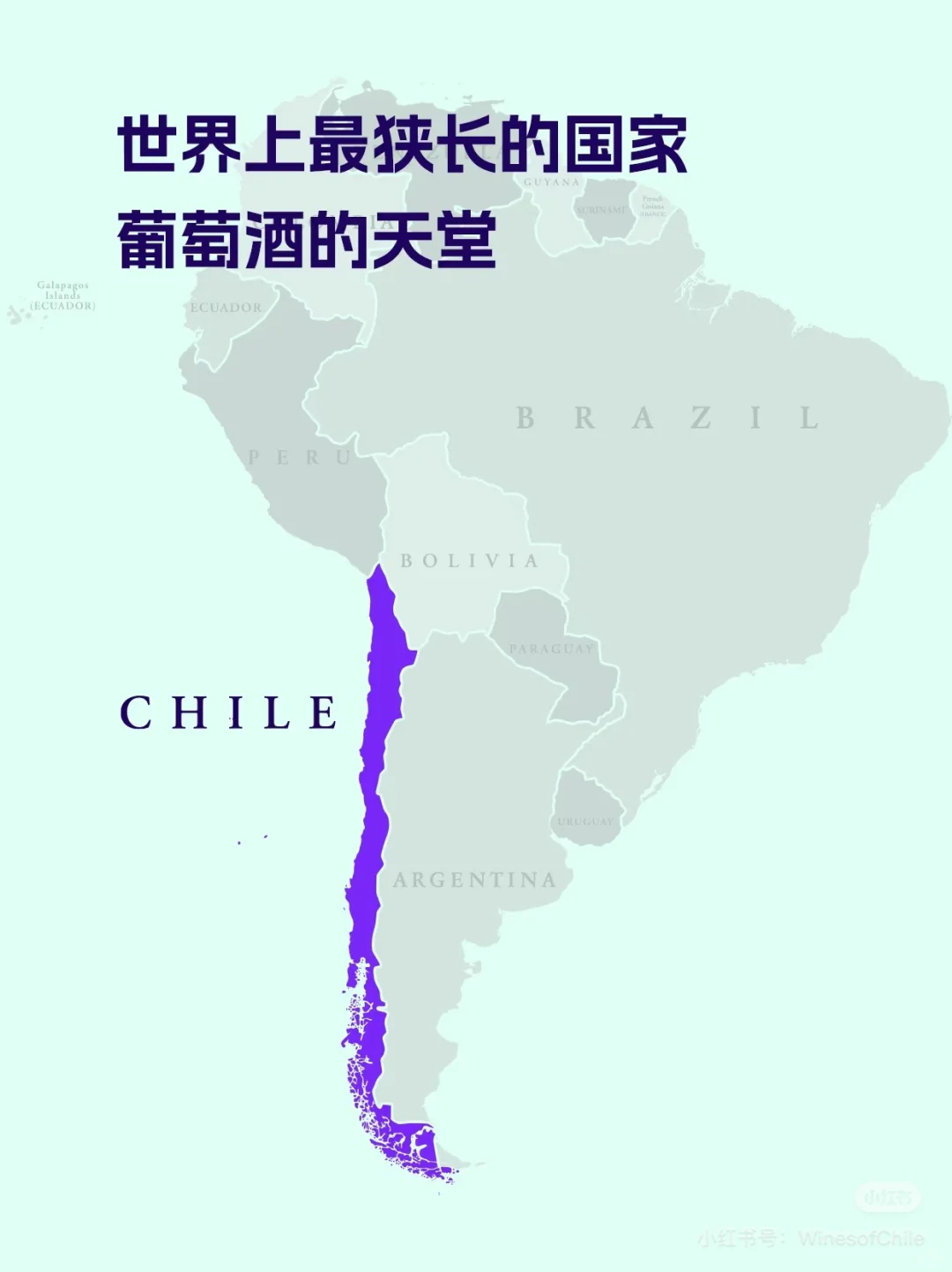智利葡萄酒分级
