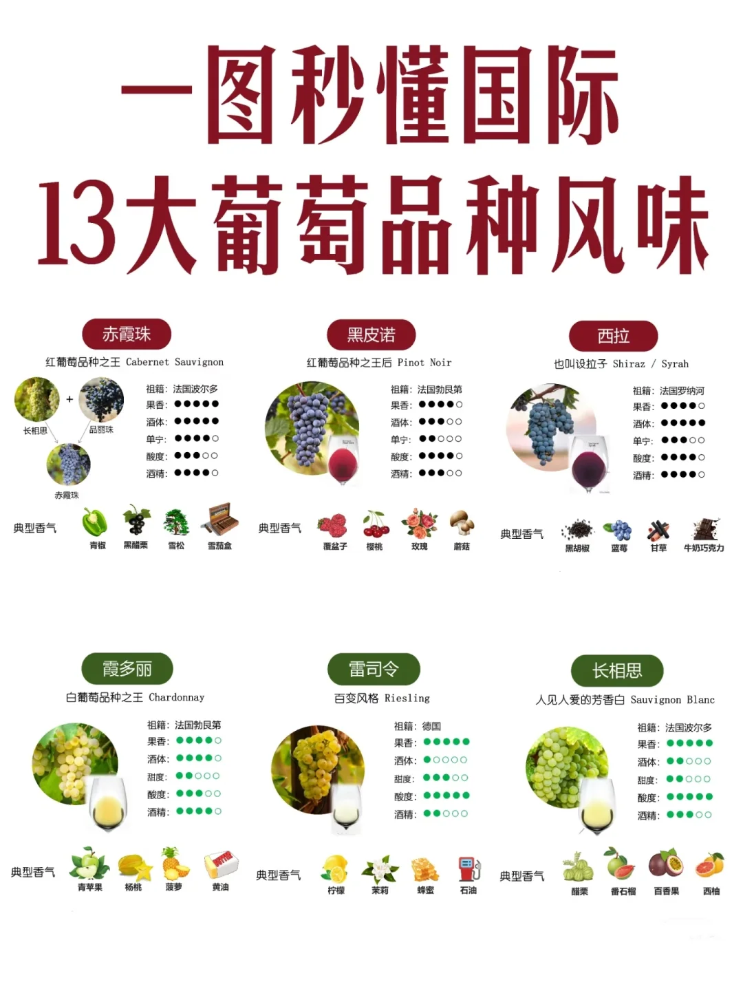 收藏⭐一文速通六大葡萄酒品种图鉴?