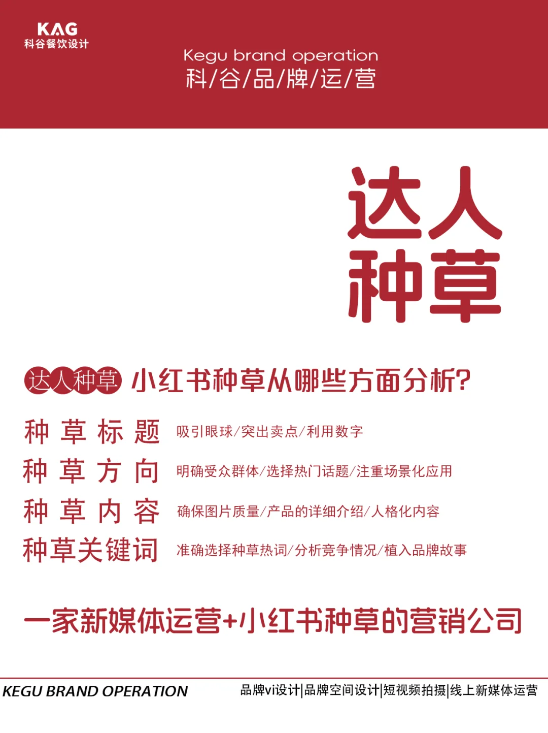 一家宝藏的小红书种草公司
