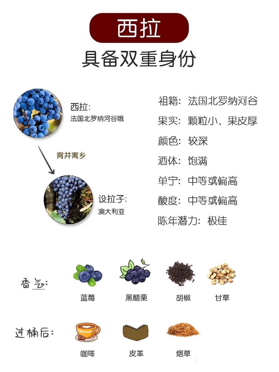 收藏⭐一文速通六大葡萄酒品种图鉴?