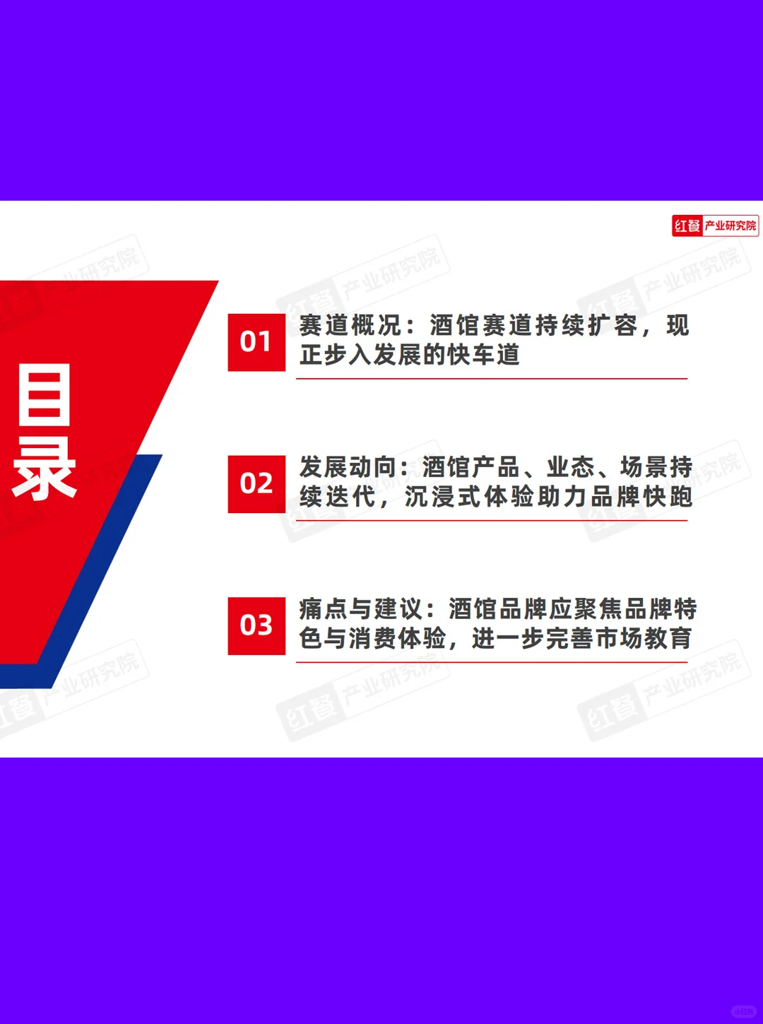 33页报告|2025酒馆发展：千亿微醺经济