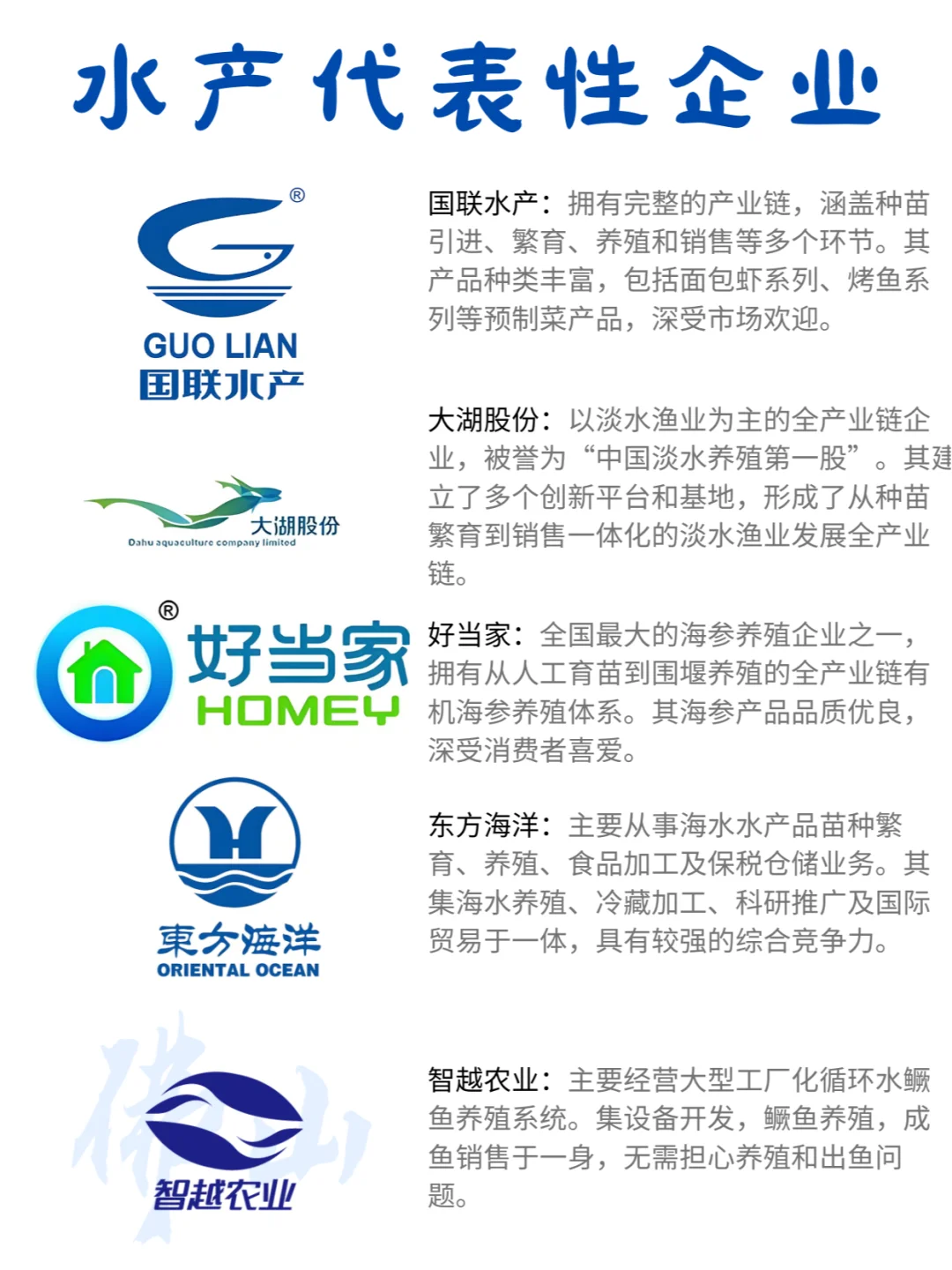 ?水产行业有哪些大佬❓