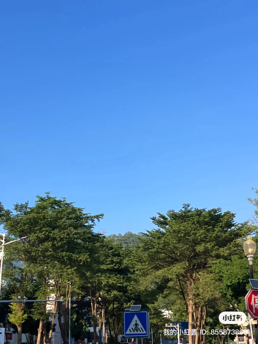 传统企业好比老男人