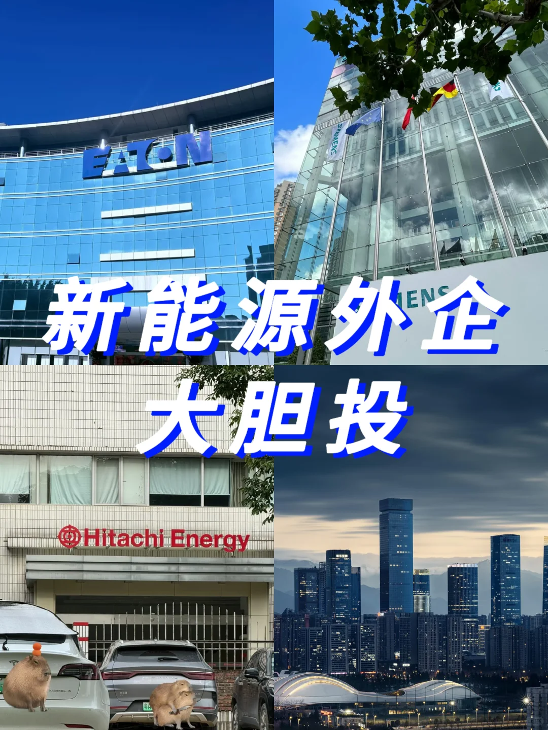 新能源行业外企 大胆投