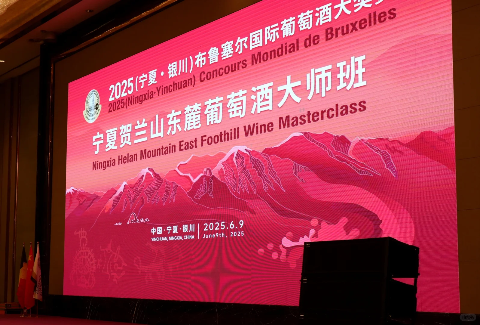 布鲁塞尔葡萄酒大奖赛，大师班，还有熟人们