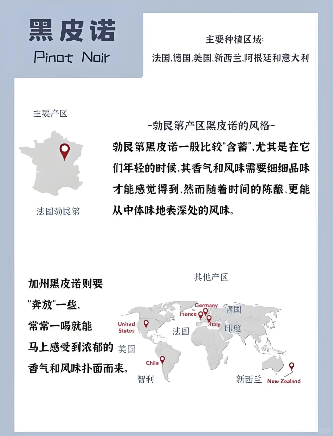 每周认识一个葡萄品种（黑皮诺）
