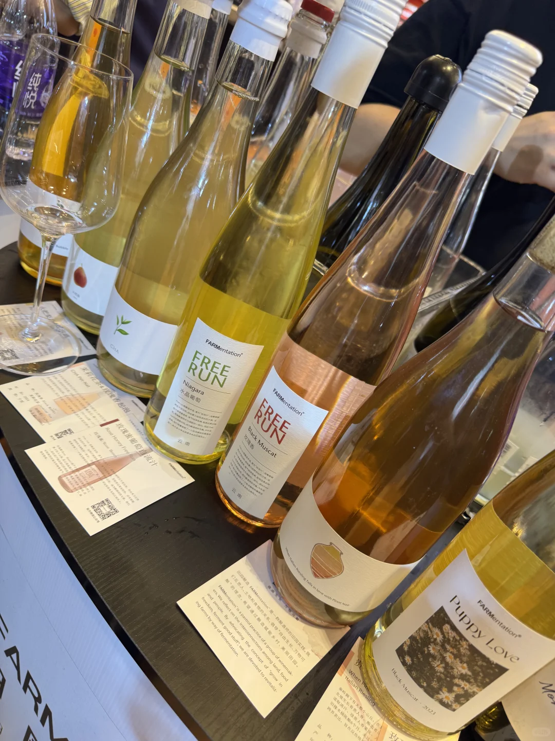 万达瑞华葡萄酒展