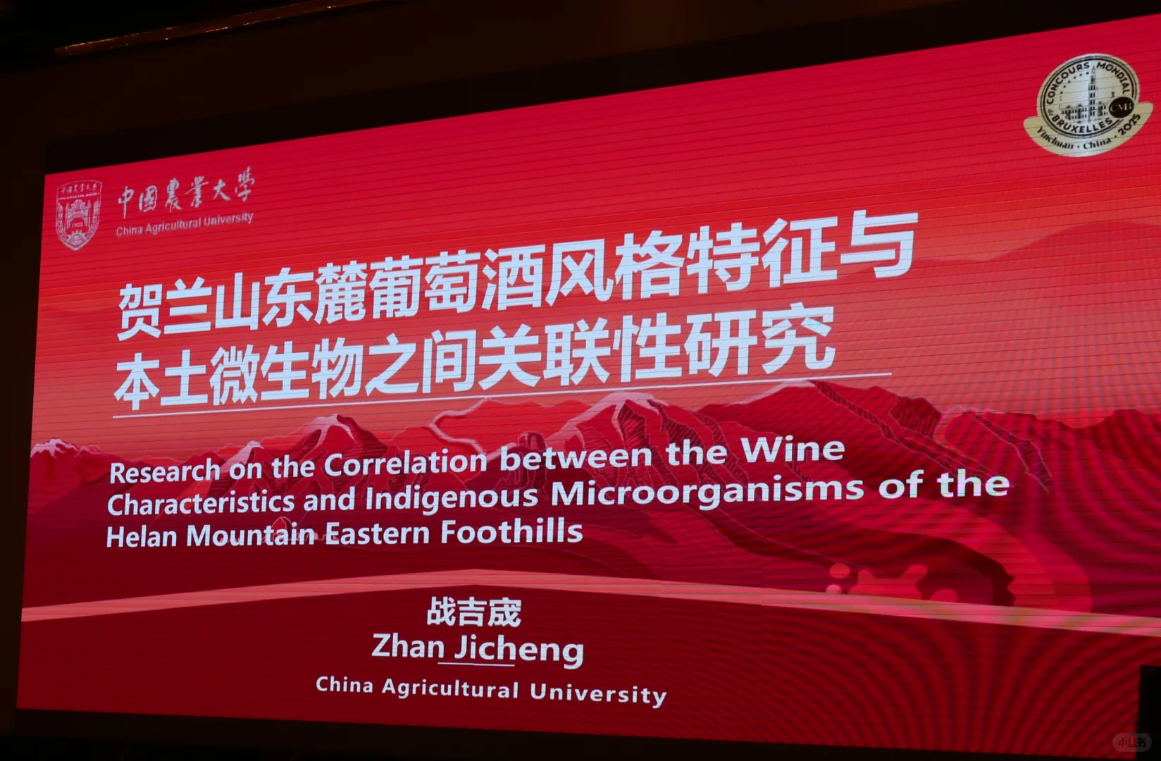 布鲁塞尔葡萄酒大奖赛，大师班，还有熟人们