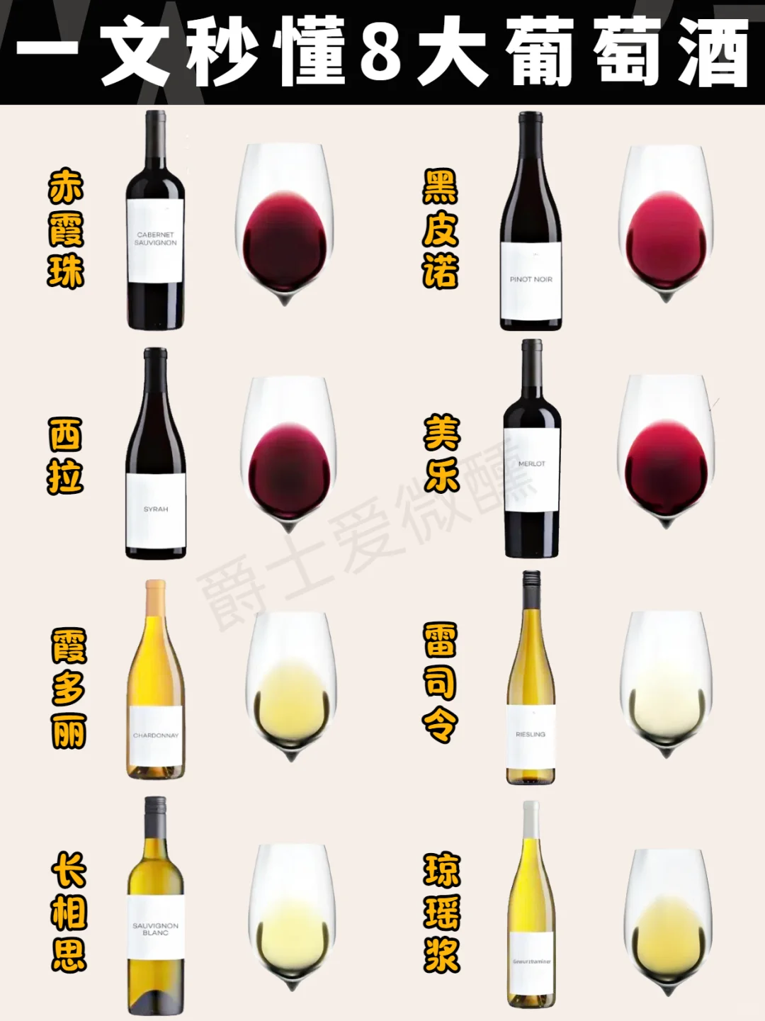 新手必备❗️8大葡萄酒一次说清楚?