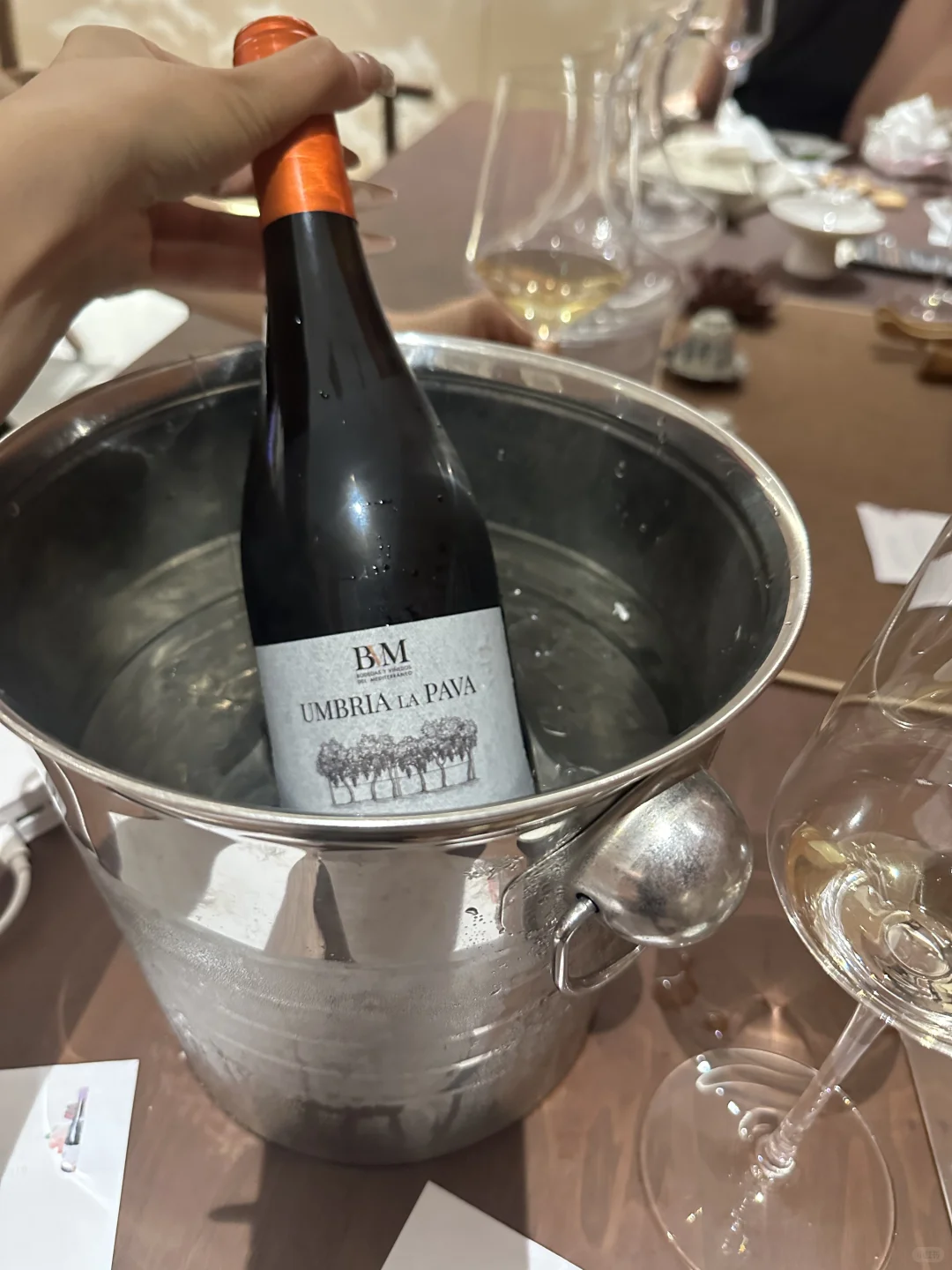 在郑州居然有这样的葡萄酒品鉴会！！！