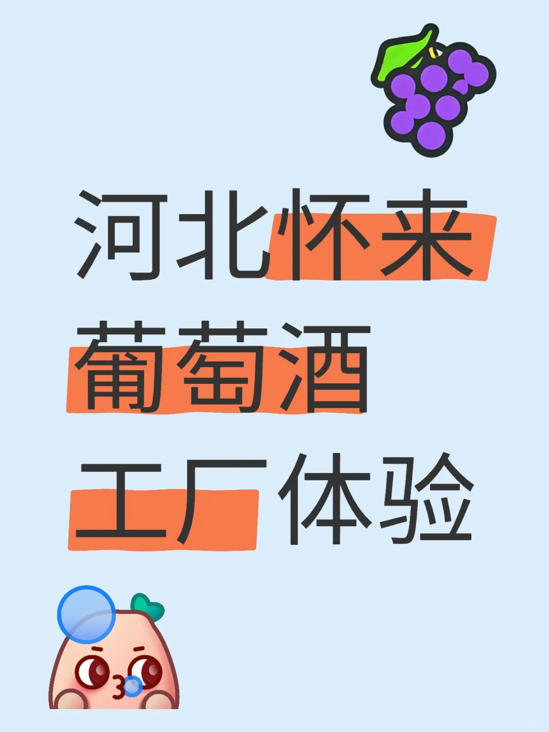 一次了解葡萄酒生命的旅程