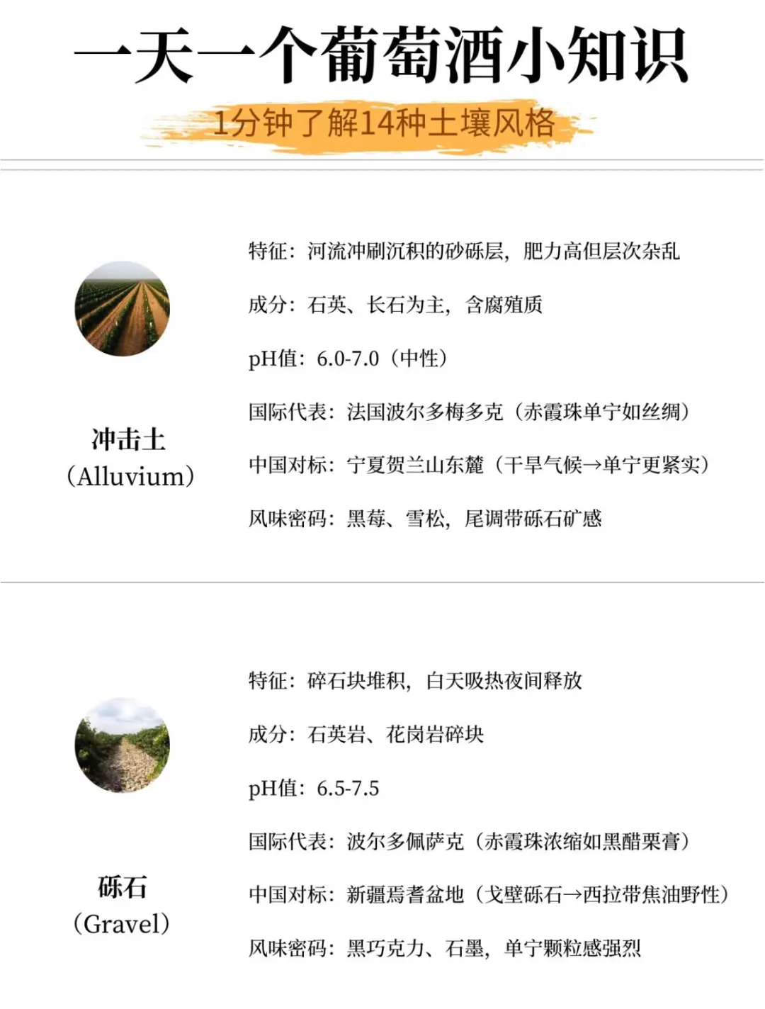 1分钟了解14种葡萄酒土质，轻松选酒不踩坑