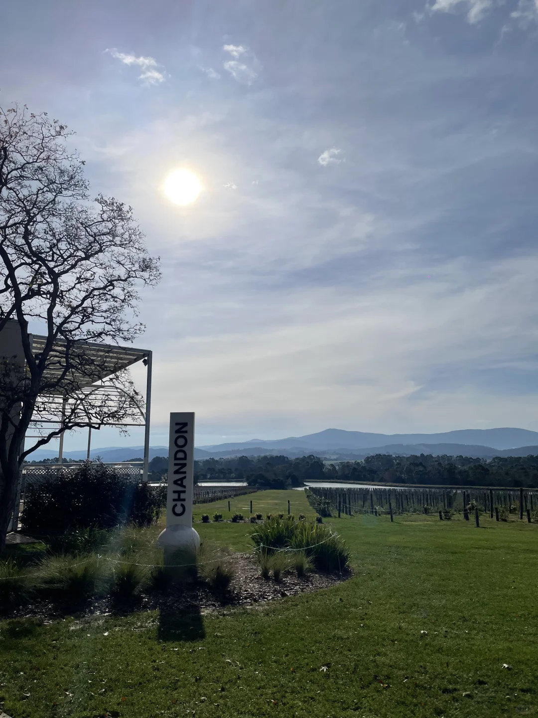 葡萄酒爱好者狂喜 Yarra Valley一日游?